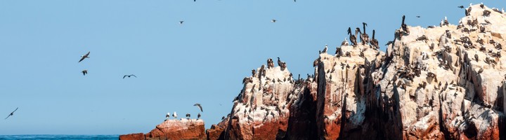 Rotsen van de Ballestas Eilanden met zeevogels boven de oceaan bij Paracas, Peru.