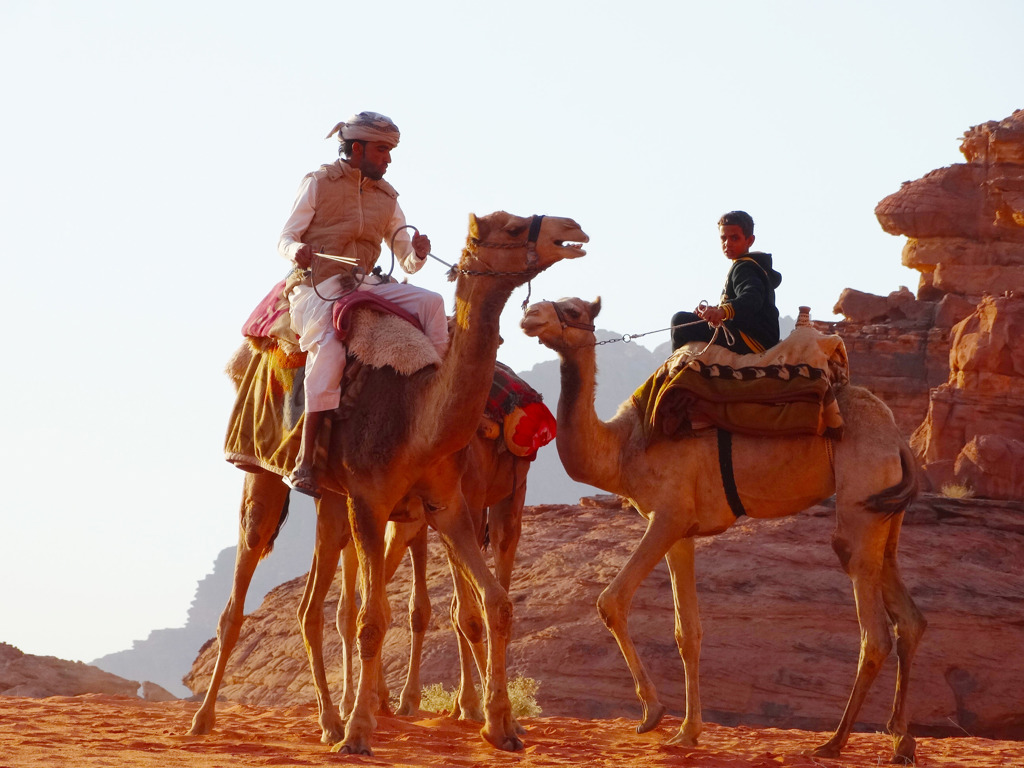 Kamelen met ruiters in de woestijn van Wadi Rum, Jordanië.