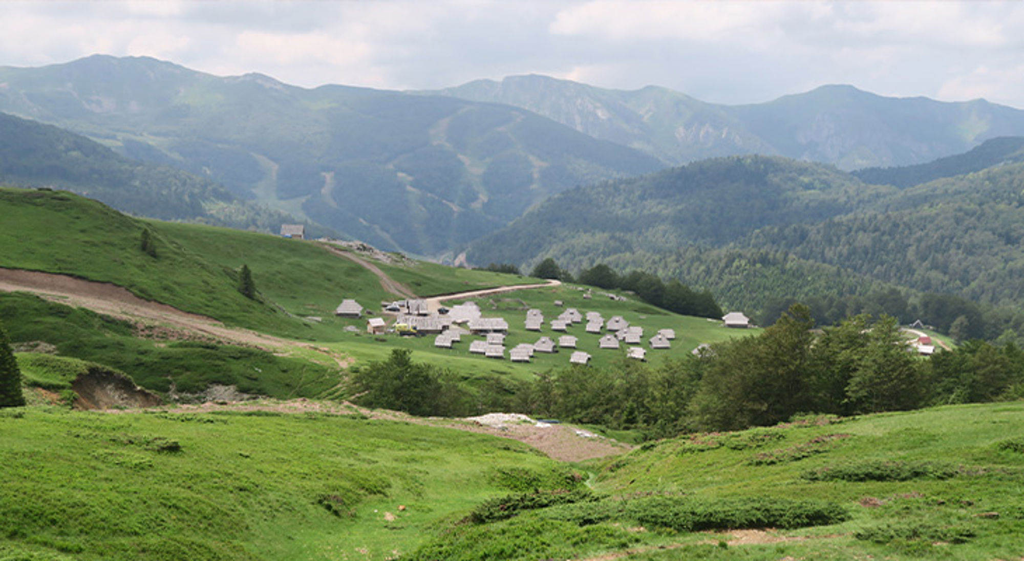 Wandelreis Montenegro Groene bergweide met verspreide hutten en kronkelende weg, met beboste bergen op de achtergrond.