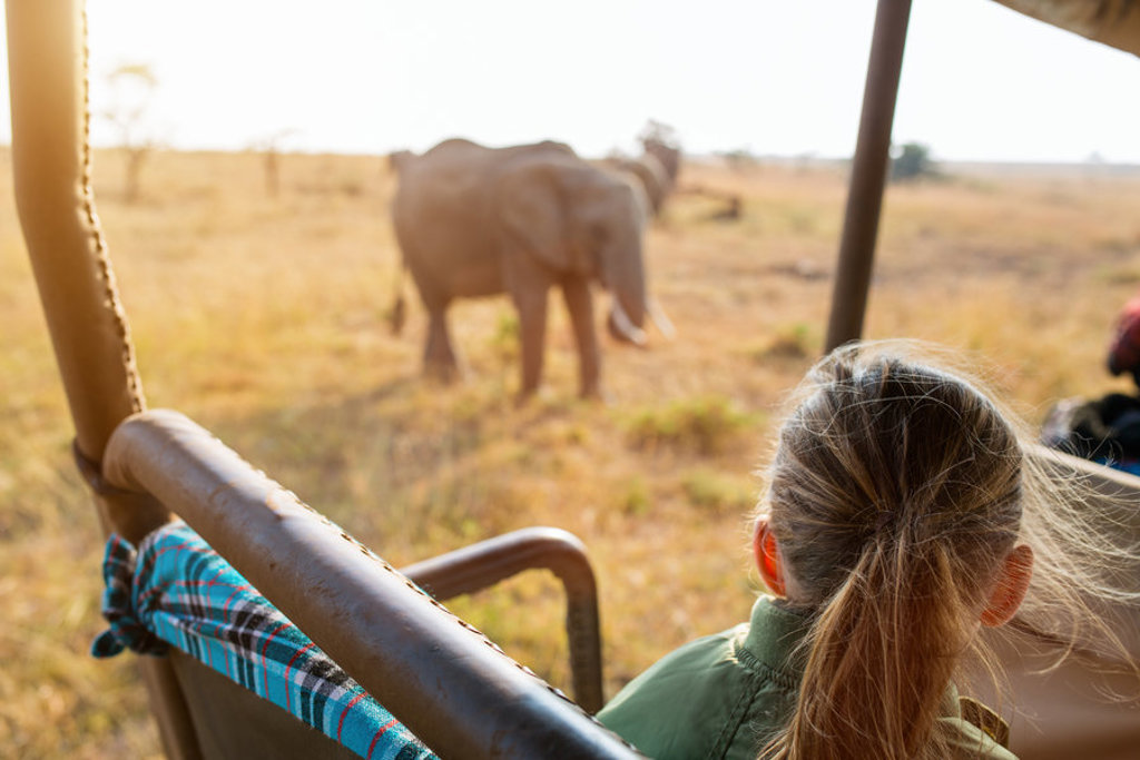 Kind kijkt vanuit safarijeep naar een olifant op de savanne tijdens familiereis Kenia, Tanzania en Zanzibar.