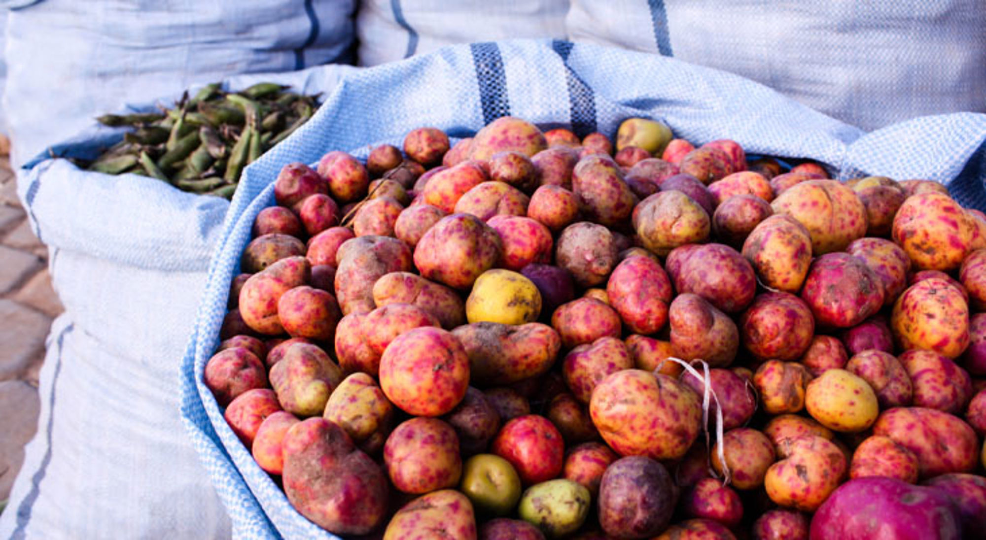 Kleurrijke aardappelen op een markt in Bolivia.