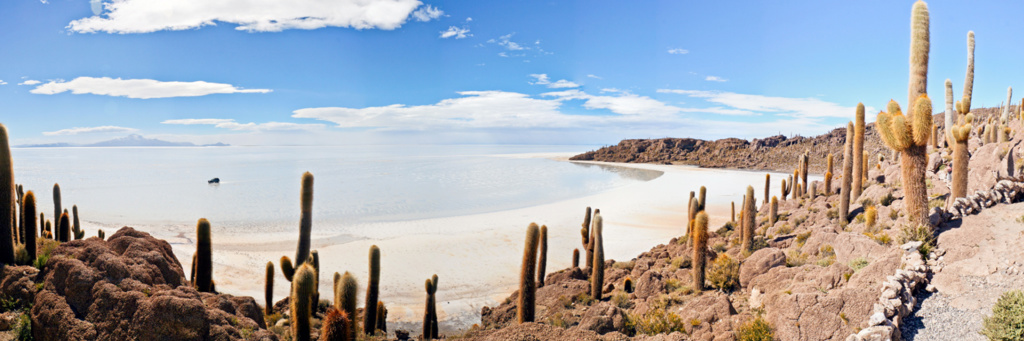 Cactussen op rotsachtig eiland bij de Salar de Uyuni, Bolivia, tijdens groepsrondreis Bolivia en Chili.