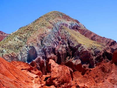 Cactussen in de Boliviaanse hoogvlakte tijdens de route Bolivia en Chili.