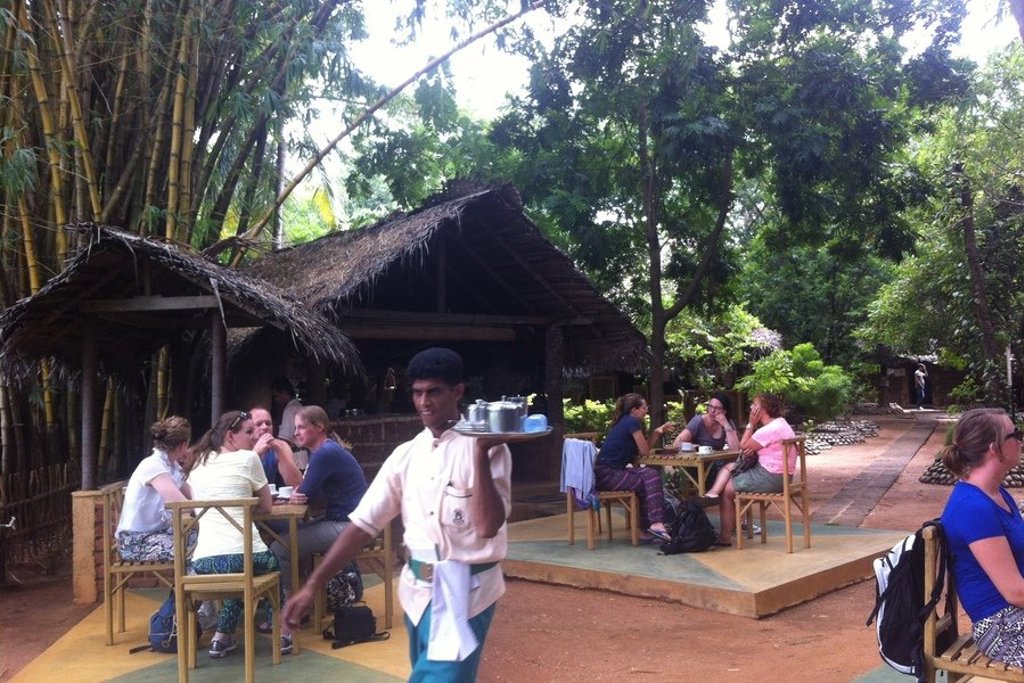 Olifanten in het water tijdens groepsrondreis Sri Lanka en Malediven.