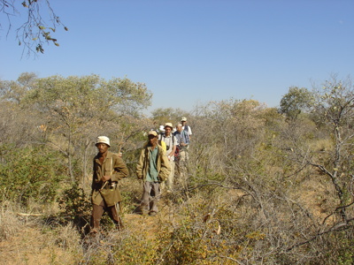 Geleide bushwandeling met groep reizigers door de savanne op route Windhoek - Victoria Falls.