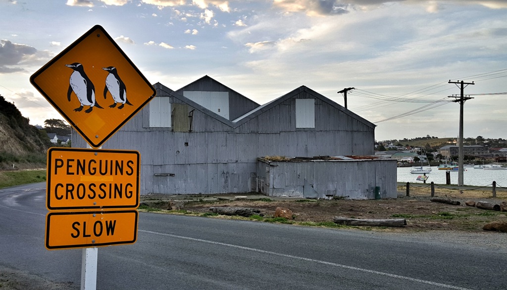 Waarschuwingsbord voor pinguïns overstekend langs de weg in Nieuw-Zeeland tijdens een groepsrondreis.
