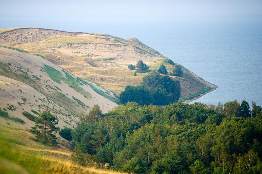Duinen en bos aan de kust van de Baltische Zee tijdens de familiereis Polen en Baltische Staten.