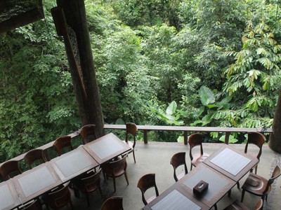 Terras met houten tafels en stoelen aan de rand van het regenwoud op Kalimantan.