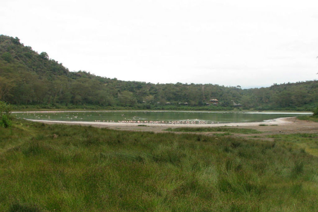 Groene kratermeer in Kenia met flamingo’s aan de oever, tijdens groepsrondreis Kenia, Tanzania en Zanzibar.
