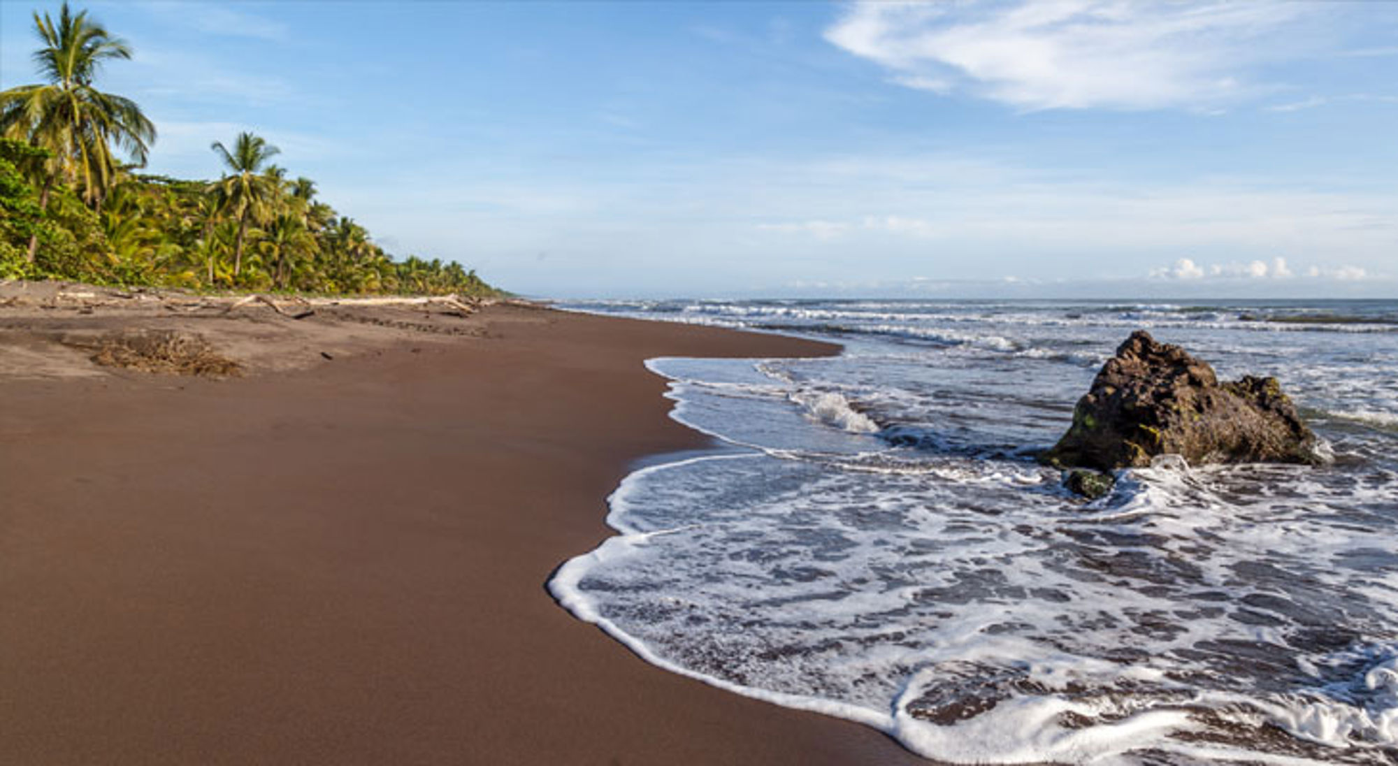 Tortuguero NP strand Zwart zandstrand met palmbomen en branding aan de kust van Costa Rica.