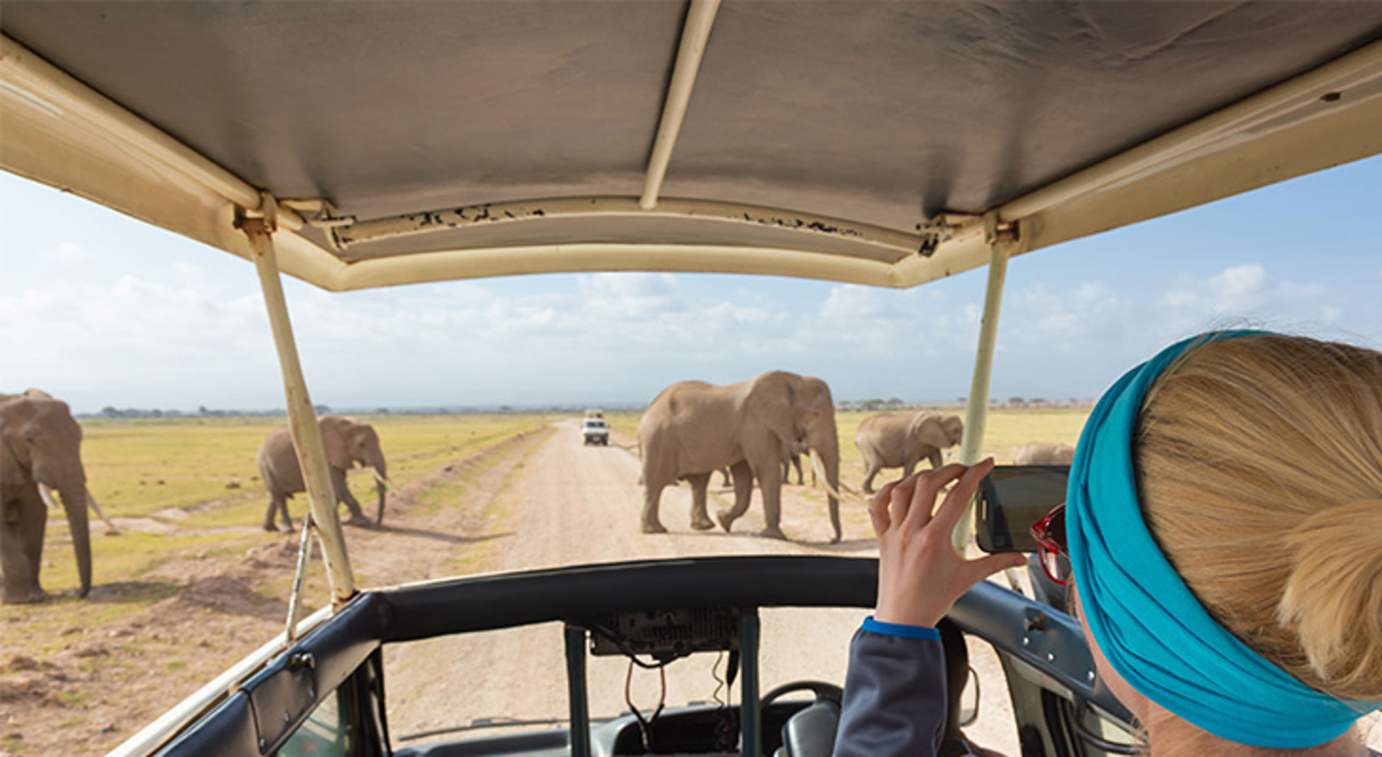 Olifanten spotten tijdens game drive in Amboseli National Park Safari in Kenia met olifanten die de weg oversteken, gefotografeerd vanuit een jeep.
