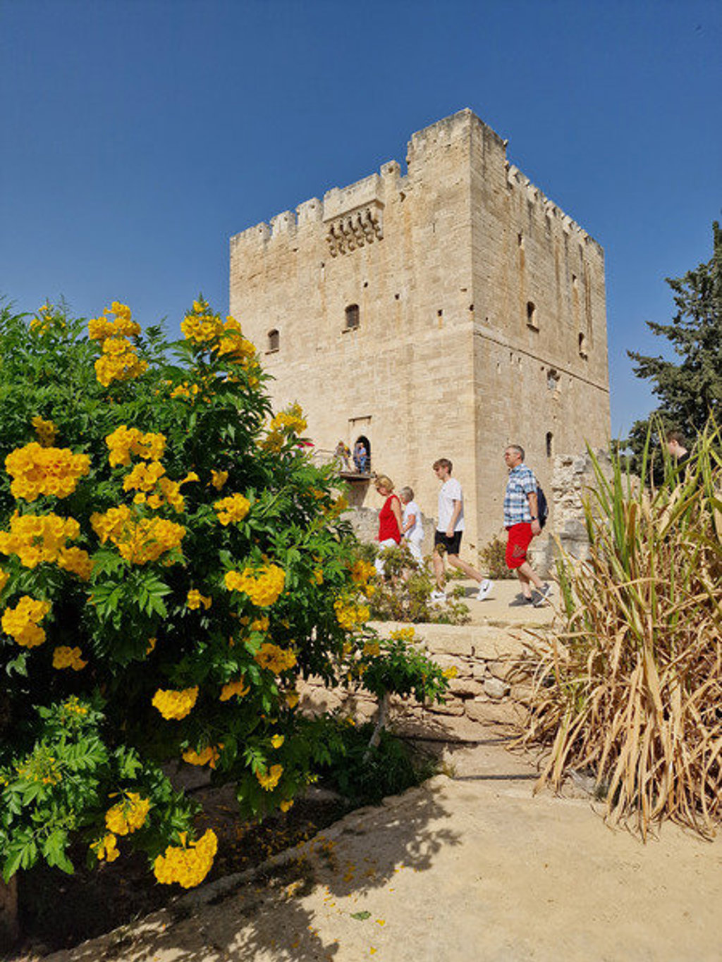 Gezin wandelt langs een middeleeuwse toren op Cyprus tijdens een familiereis, met gele bloemen op de voorgrond.