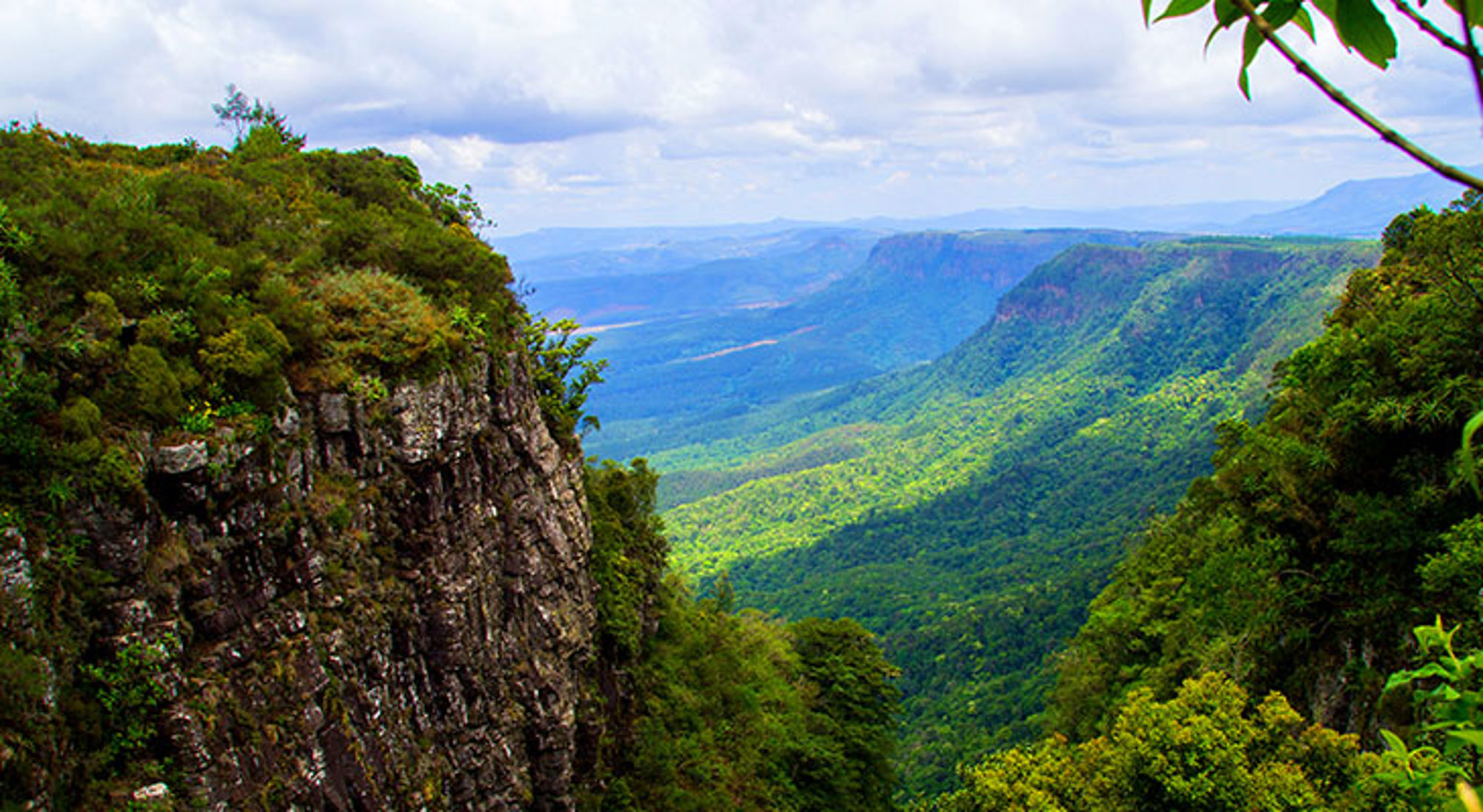 Uitzicht bij Gods Window Uitzicht over de groene Blyde River Canyon met steile kliffen en bergen in Zuid-Afrika.