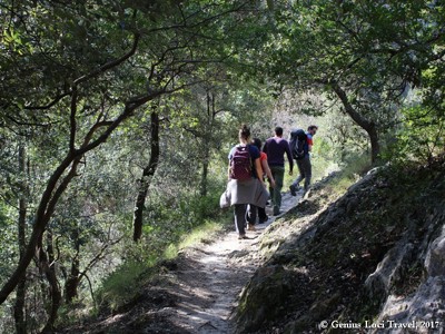 Wandelaars op een bospad in het Nationaal Park Cilento tijdens de 20-daagse route Amalfikust en Sicilië.