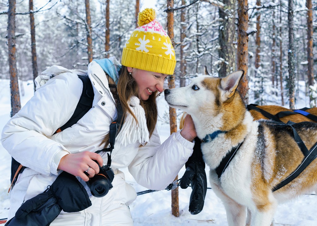 Reiziger aait husky tijdens huskysafari in besneeuwd Lapland, Finland.
