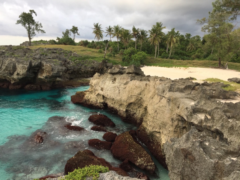 Rotskust met turquoise zee, palmbomen en strand tijdens rondreis Timor, Sumba & Bali.