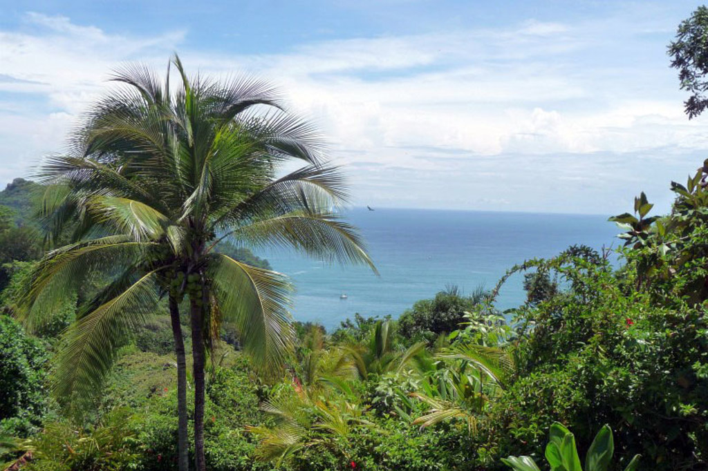 Uitzicht op de kust van Costa Rica met palmbomen, groene heuvels en de blauwe oceaan.