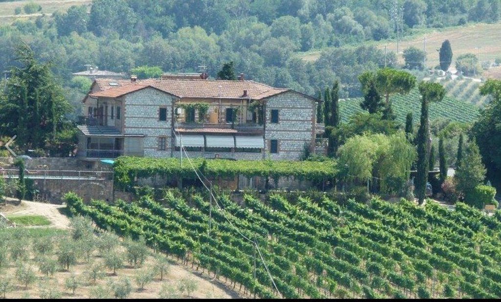 Groene heuvels en cipressen in Toscane, Italië.