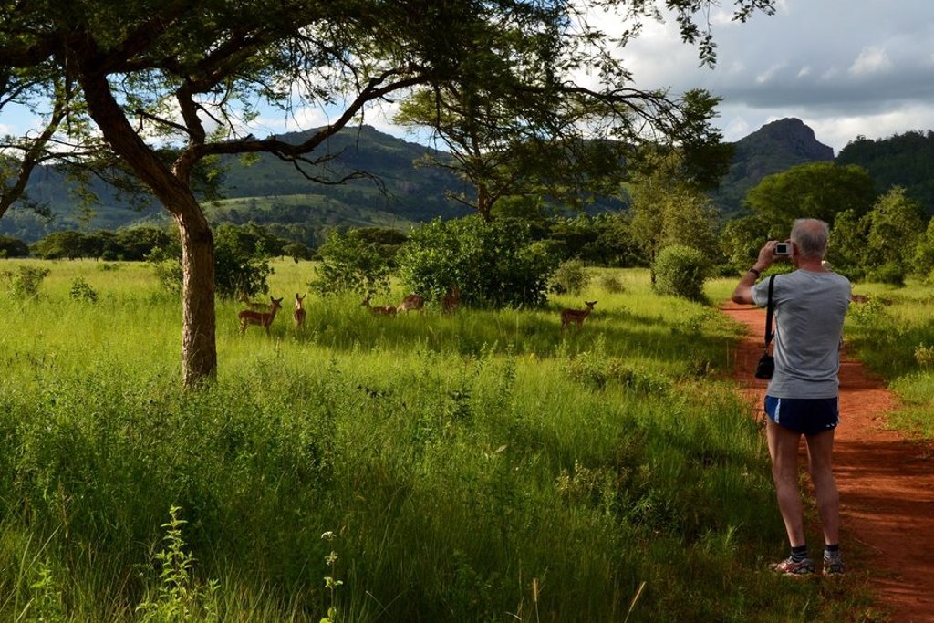 Reiziger fotografeert antilopen langs een rode zandweg in groen savannelandschap in Zuid-Afrika, met bergen op de achtergrond.