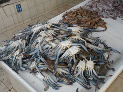 Verse vangst van krabben, garnalen en inktvis op een vismarkt in Oman.