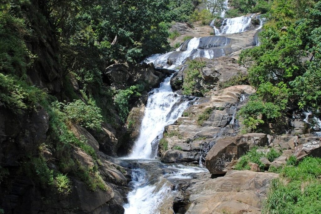 Sri Lanka: Aziatische olifanten in het groen tijdens de groepsrondreis Sri Lanka en Malediven.