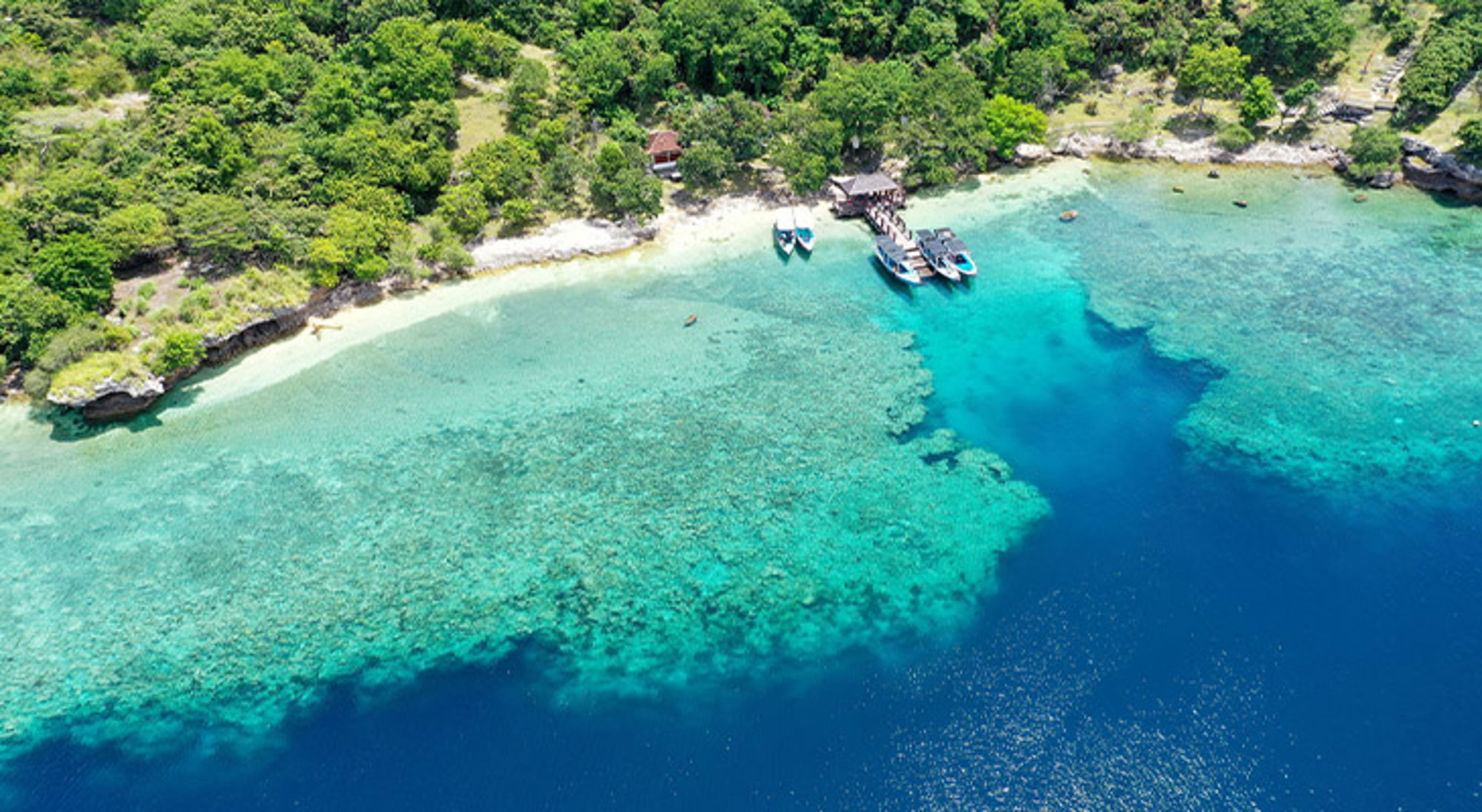 Menjangan Island een tropische baai met helderblauw water, koraalrif en boten bij een houten steiger.