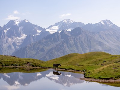 Berglandschap in Georgië met besneeuwde toppen, groene heuvels en een paard bij een spiegelend meertje.