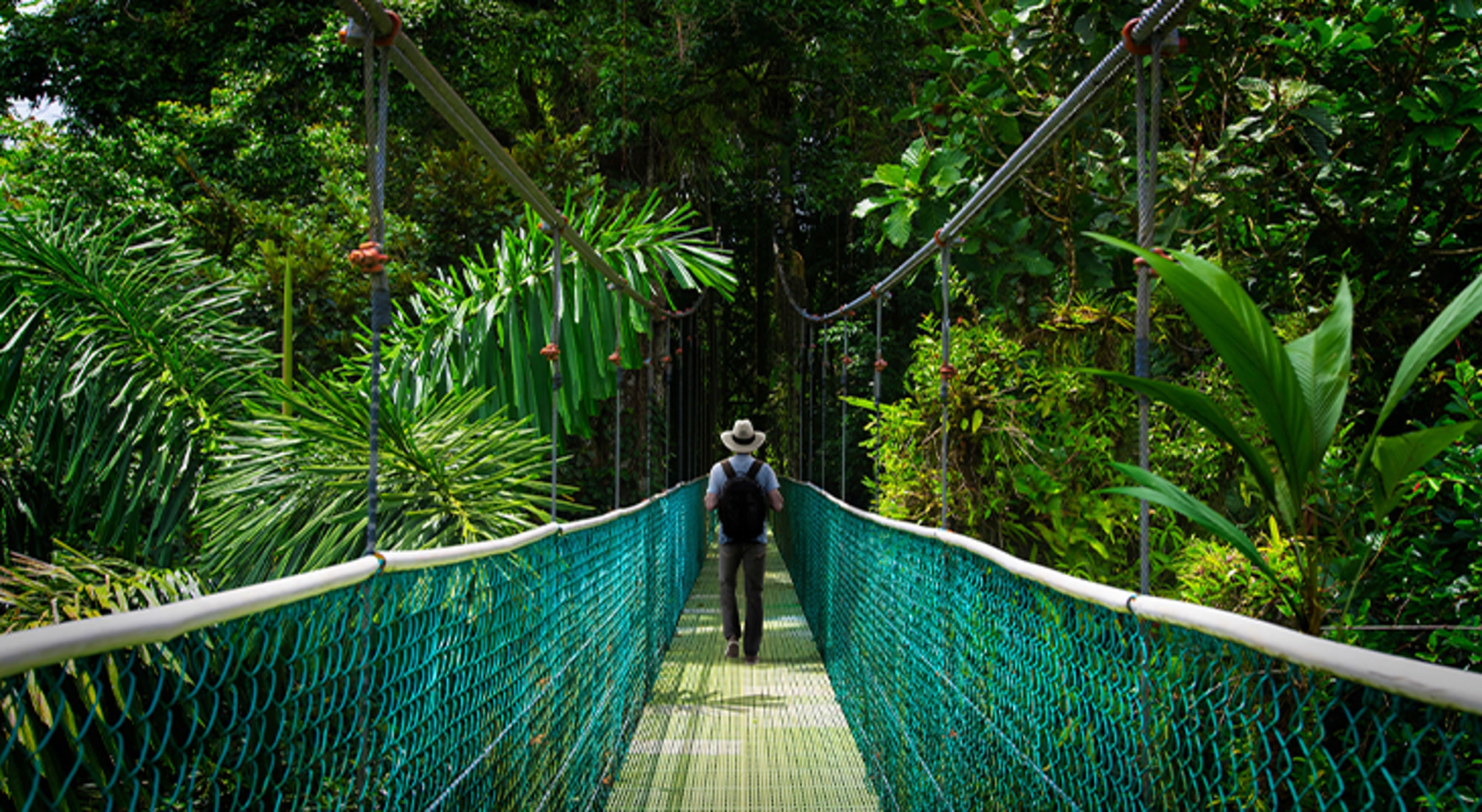 Costa Rica Monteverde Wandelaar met rugzak op hangbrug door weelderig regenwoud.
