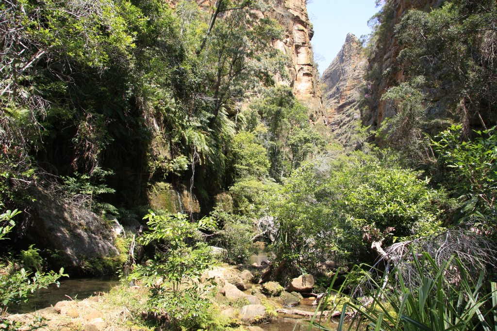 Groene kloof met rotswanden en beekje in Madagascar tijdens een groepsrondreis.