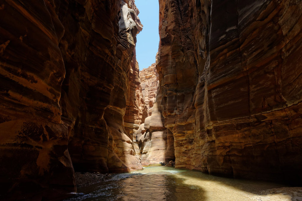 Smalle kloof met zandstenen rotswanden en een beekje in Jordanië tijdens een 22-35ers groepsrondreis.