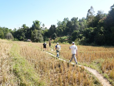 Jongeren wandelen over een smal pad door rijstvelden tijdens de Thailand-route.