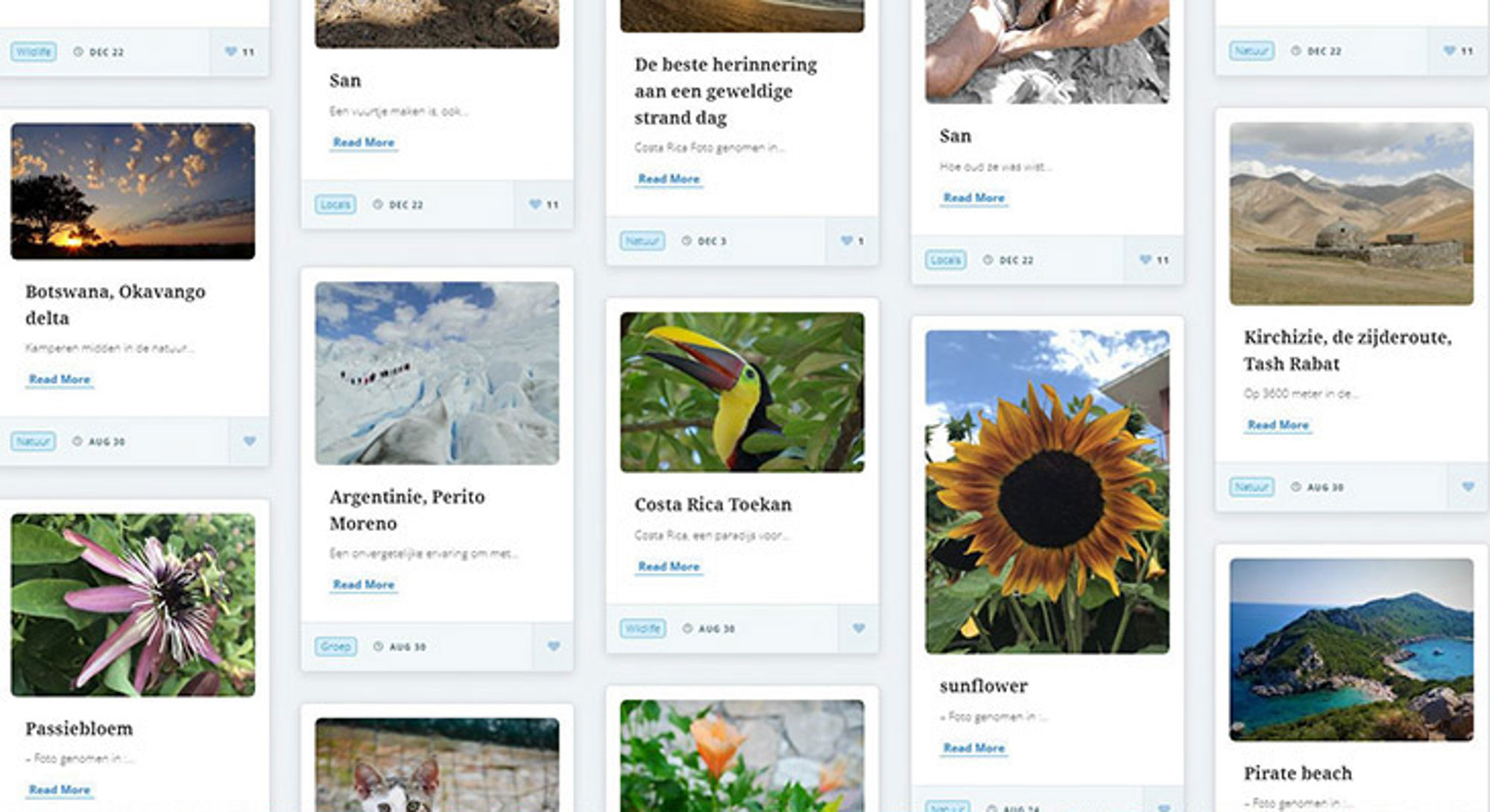 Overzicht van reisblogkaarten met foto’s, waaronder Botswana Okavango delta, Argentinië Perito Moreno en Costa Rica toekan.