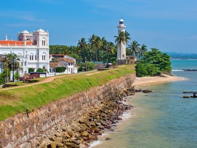 Palmbomen langs de kust in Sri Lanka tijdens de 15-daagse fietsreis.