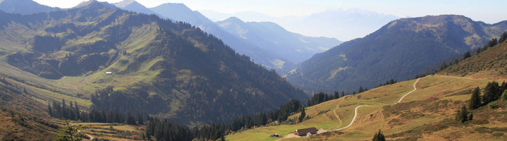Panoramisch uitzicht op een bergvallei met groene hellingen, dennenbossen en een kronkelende weg.