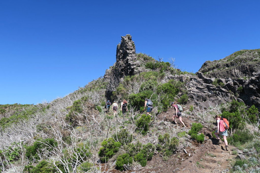 Wandelaars op een bergpad langs rotsen en struikgewas op Madeira tijdens een wandelvakantie.
