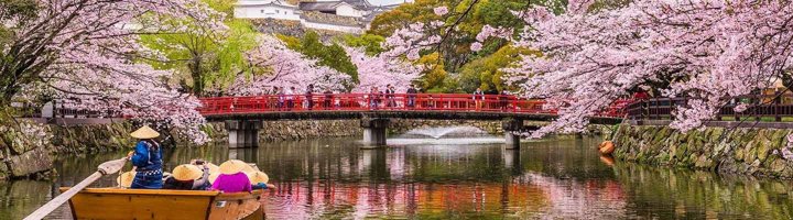 Rode torii-poort bij een Japans heiligdom, omringd door groen.