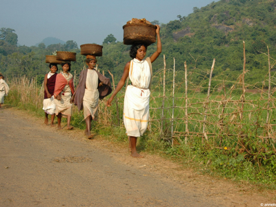 Vrouwen lopen over een landweg in Orissa met manden op het hoofd, met groene heuvels op de achtergrond.