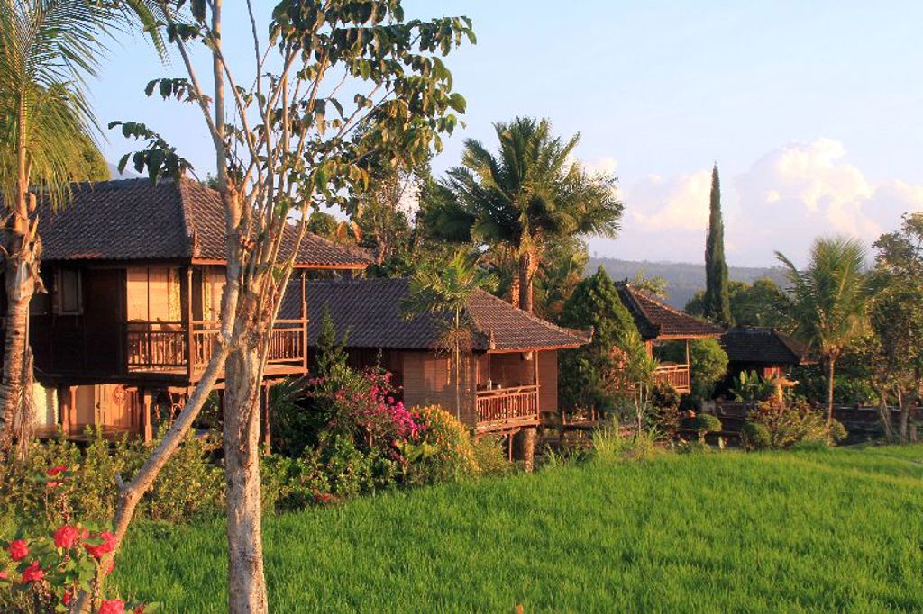 Houten bungalows tussen palmen en rijstvelden tijdens groepsrondreis Sumatra, Java en Bali.