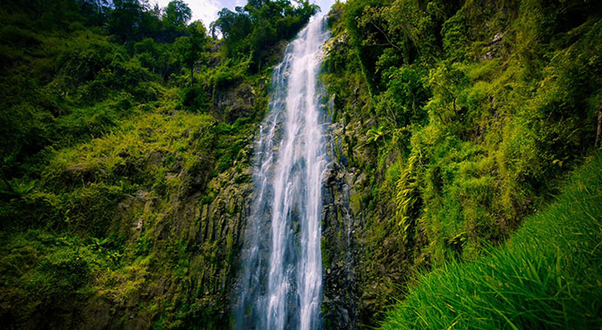 Materuni Falls in Tanzania Hoge waterval die langs een rotswand naar beneden stort, omringd door weelderig groen in Tanzania.