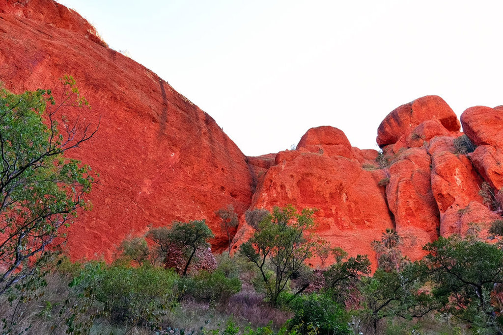 Rode rotsformatie in de outback van West-Australië tijdens een groepsrondreis.