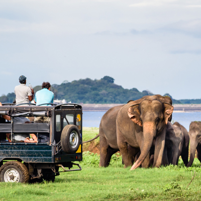 Jeep safari in Minneriya National Park met reizigers die olifanten spotten bij het meer.
