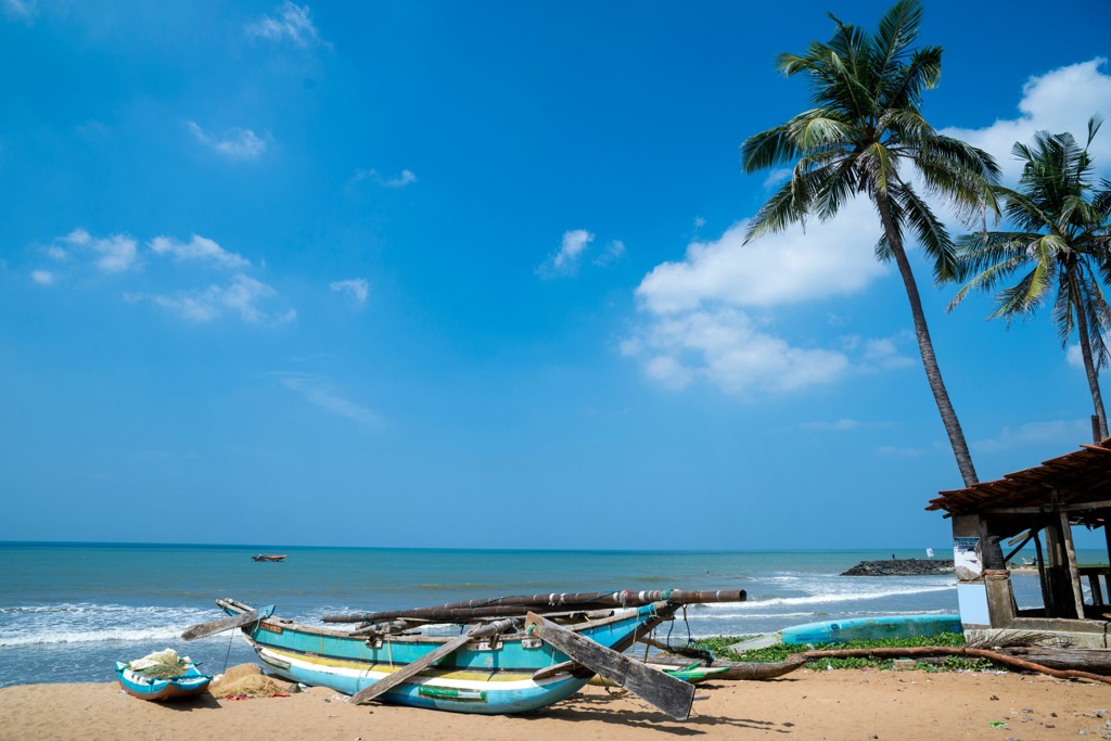 Traditionele vissersboot op het strand met palmbomen aan de kust van Sri Lanka tijdens een 22-35ers reis.