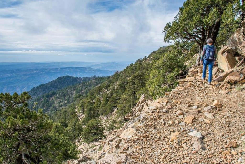 Wandelpad door bosrijk landschap in Cyprus tijdens een wandelvakantie.