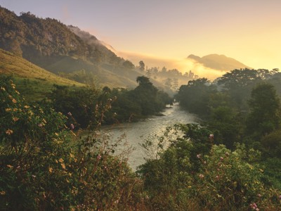Groene heuvels en rivier in Guatemala bij zonsopgang, met nevel tussen de bergen.