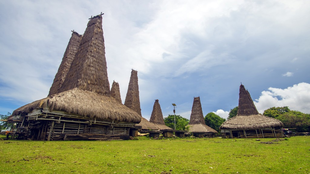 Traditionele huizen met hoge rieten daken in een dorp op Sumba, Indonesië.