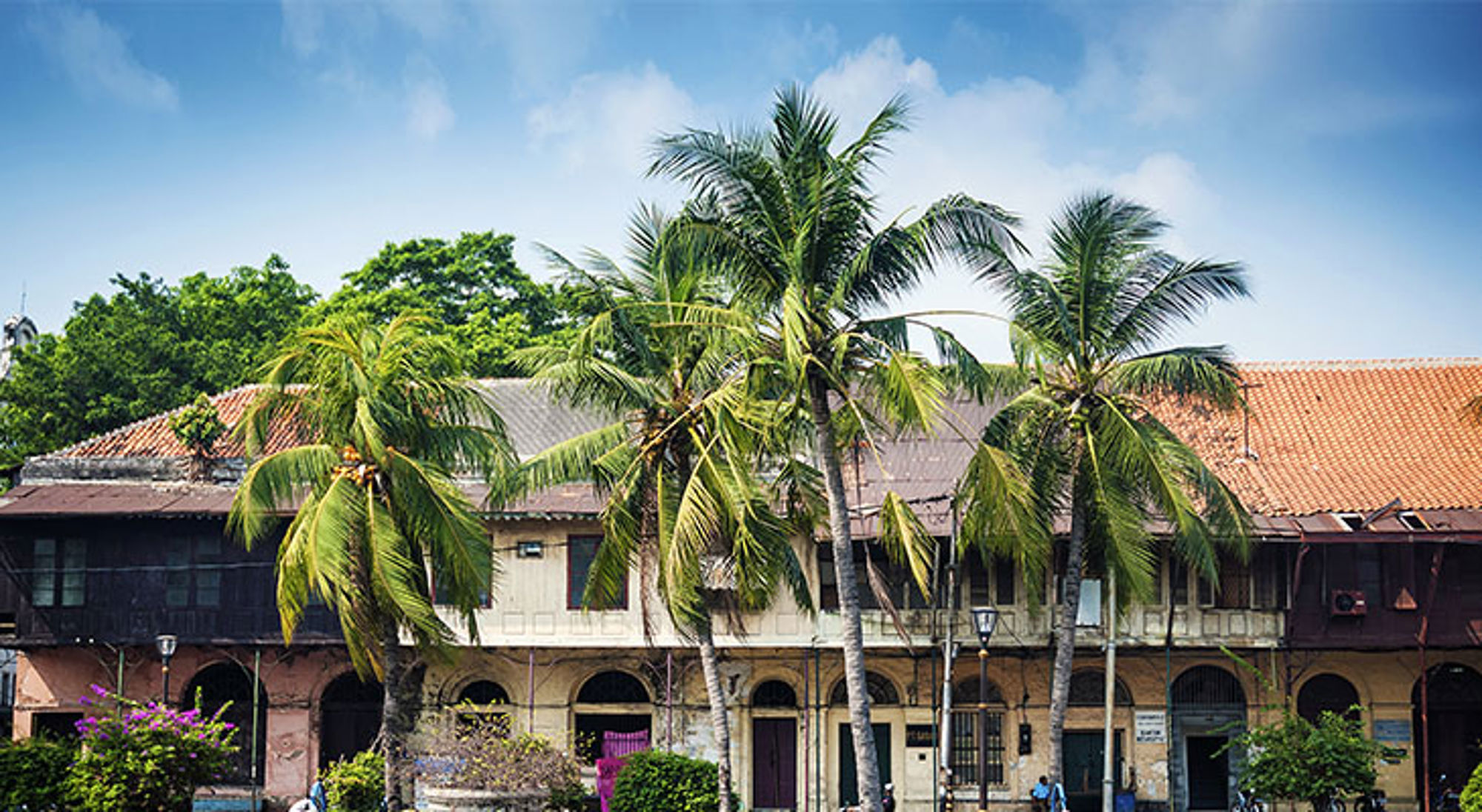 Palmbomen voor historische gebouwen in Kota Tua, Jakarta, Indonesië.