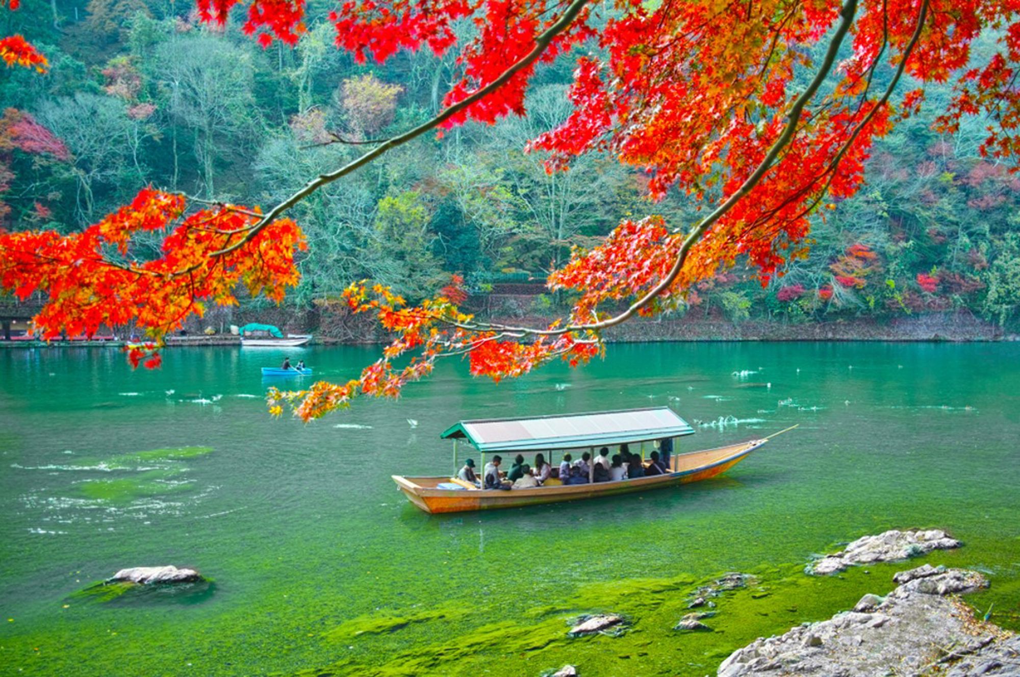 Boottocht op de Hozu-rivier in Kyoto, met rode herfstbladeren boven het groene water.
