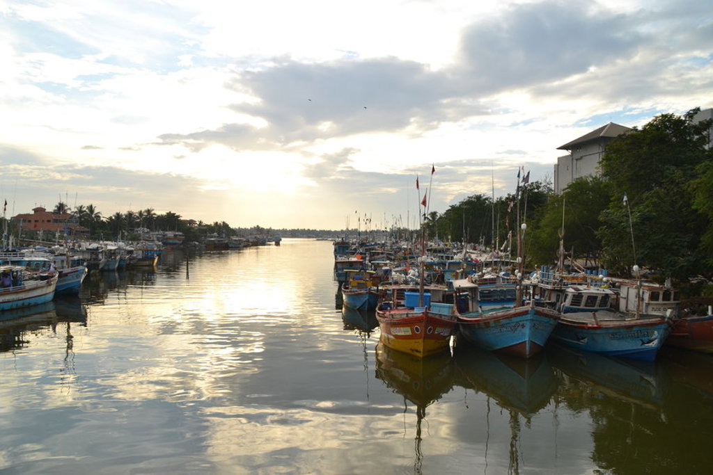 Vissersboten in de haven van Sri Lanka bij zonsondergang tijdens een groepsrondreis.
