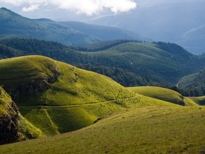 Groene heuvels en beboste bergen langs de Route Zuid-Afrika, met wolken boven de vallei.