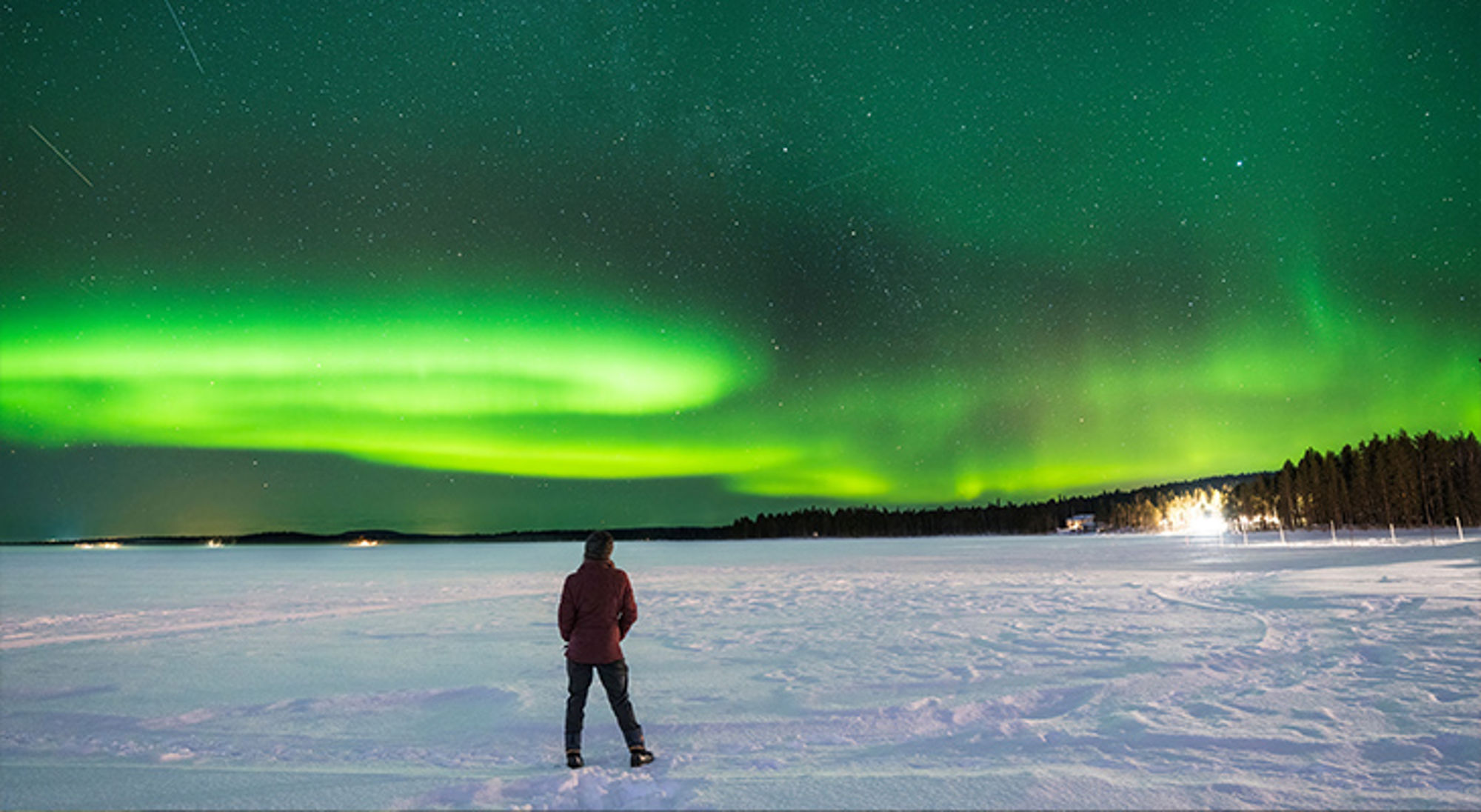 Noorderlicht in Rovaniemi, Finland Persoon kijkt naar het noorderlicht boven een besneeuwd landschap met bosrand in de verte.